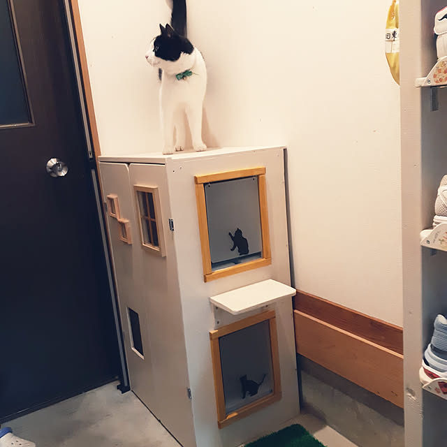 kazumiさんの実例写真