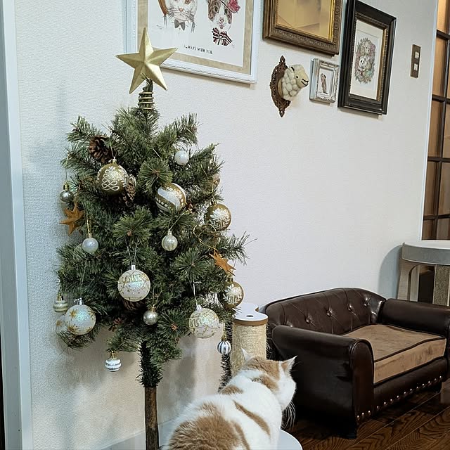 amutantanさんの実例写真