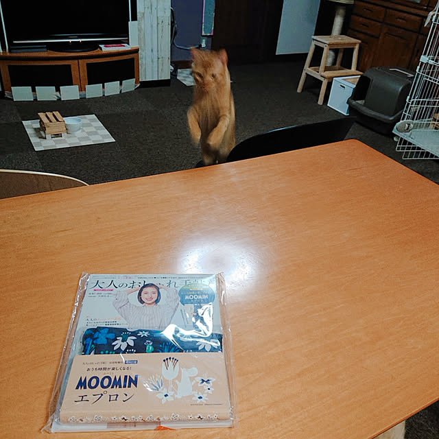 kikiさんの実例写真