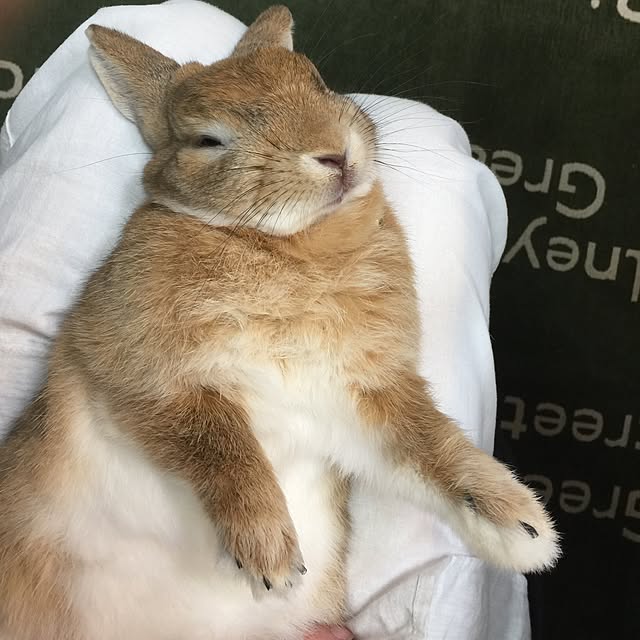 Yasuyukiさんの実例写真