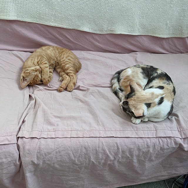 nonnonさんの実例写真