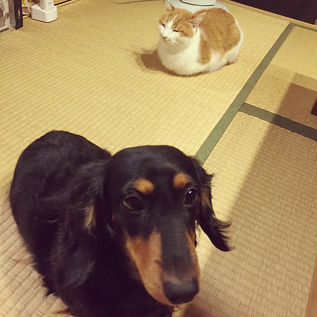 LEMONさんの実例写真