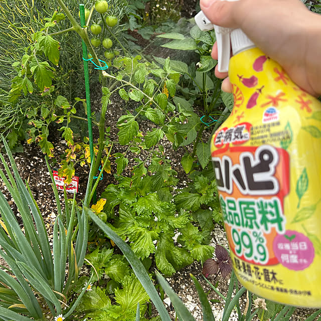 asさんの実例写真