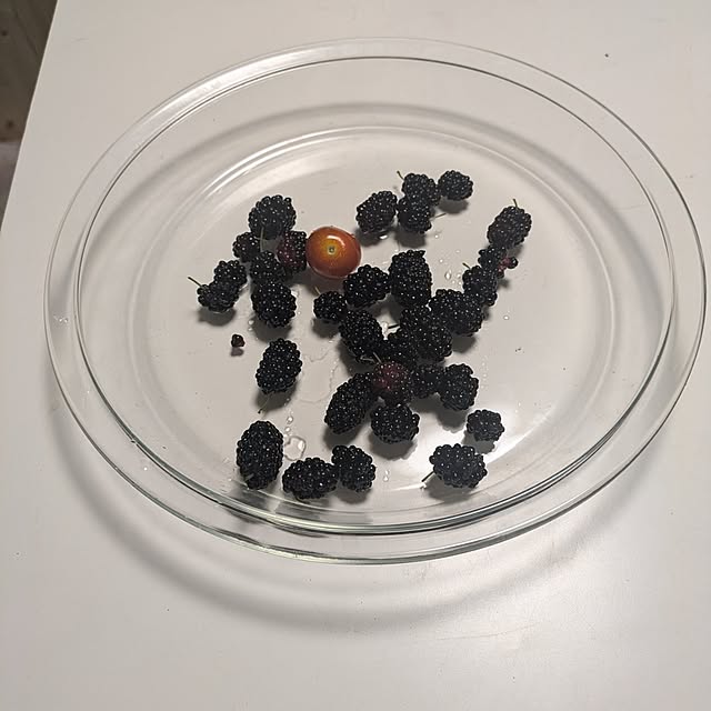 mori_6_12さんの実例写真