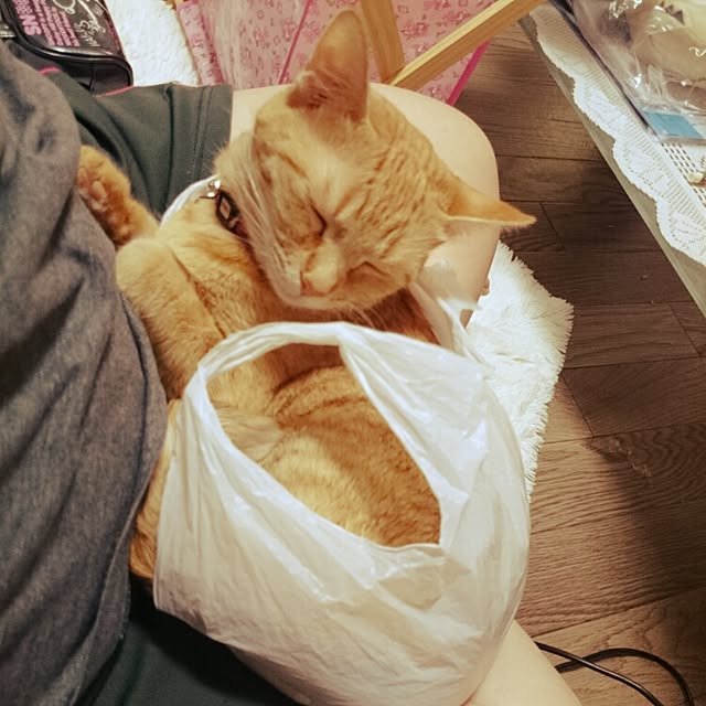 fu-ka24さんの実例写真