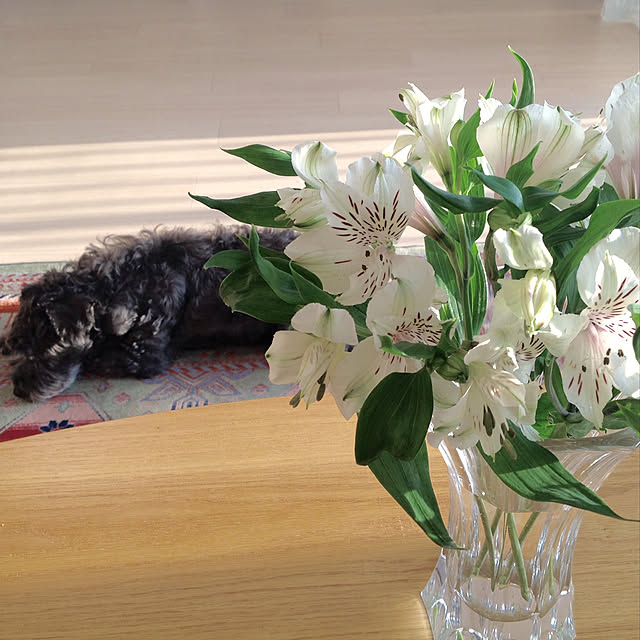 2.11maririnさんの実例写真
