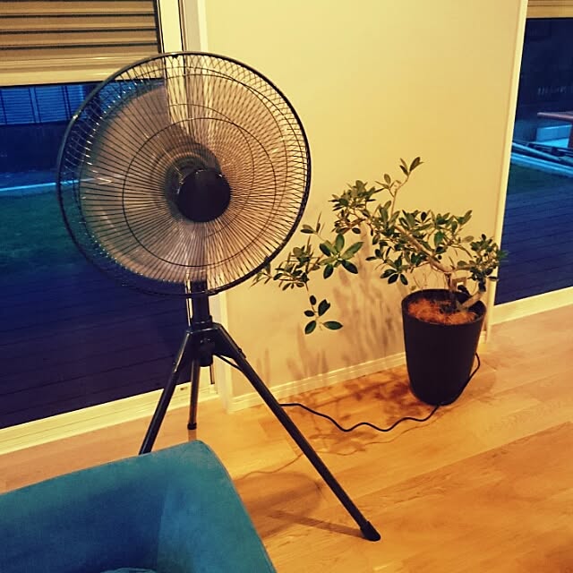 amymumさんの実例写真