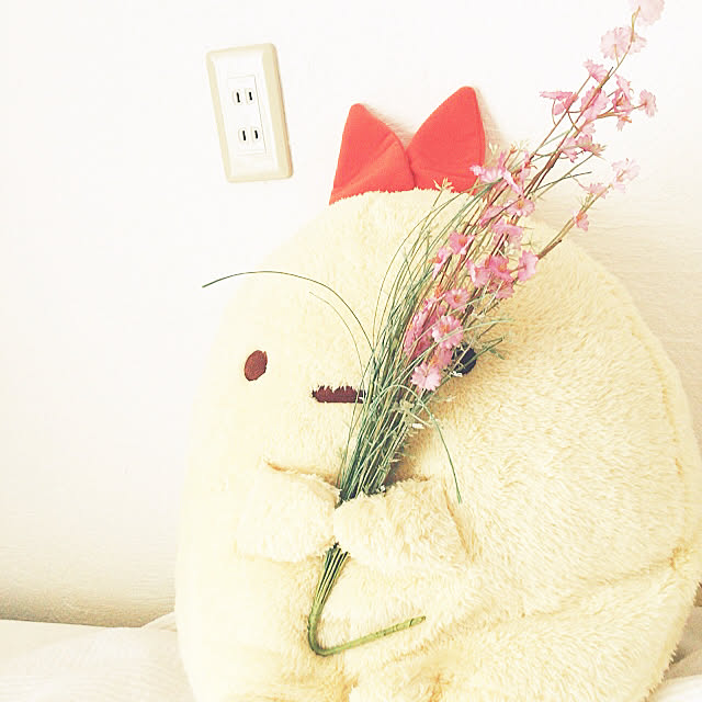 ichigo_ichigoさんの実例写真