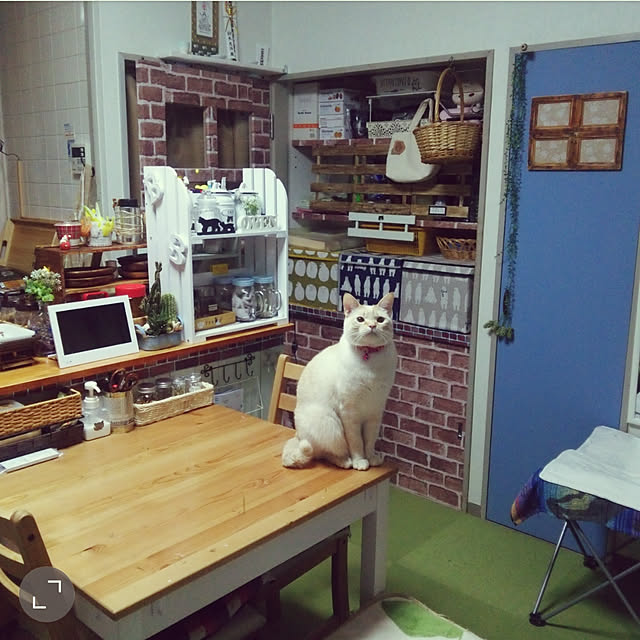 mntcさんの実例写真