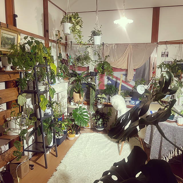 siawase.cfさんの実例写真