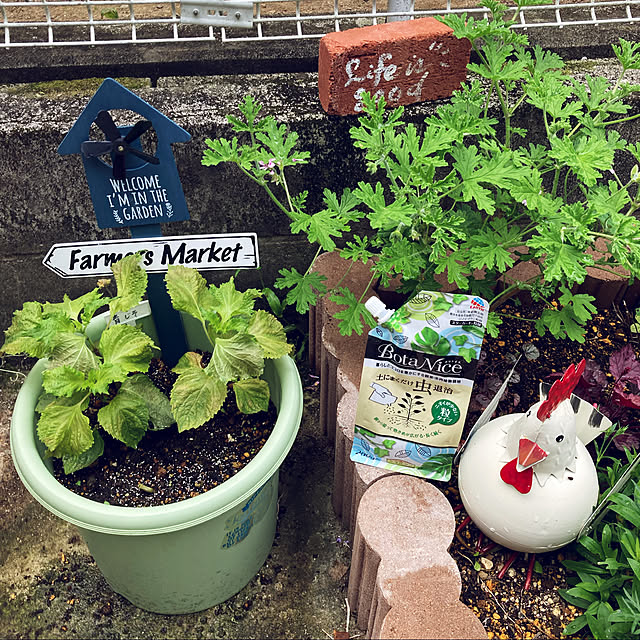 CoCo0617さんの実例写真
