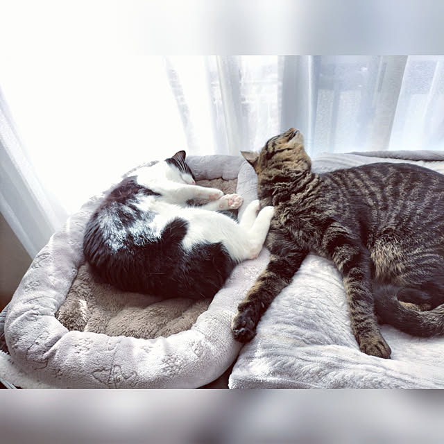 hihaさんの実例写真