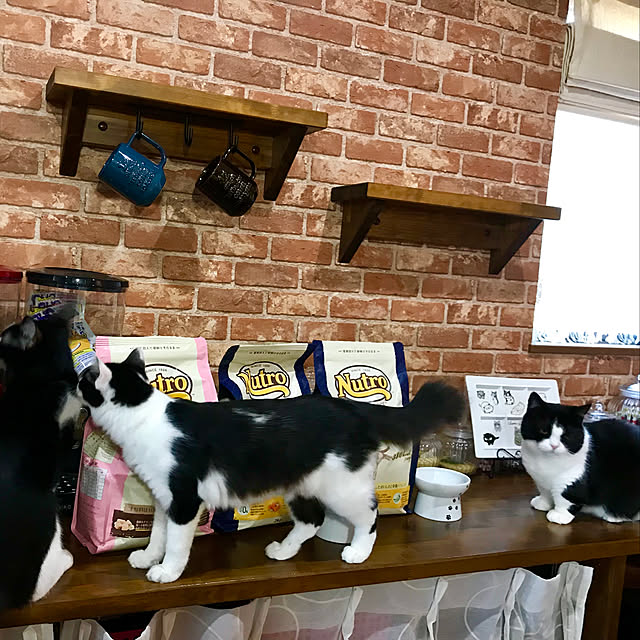 butachanさんの実例写真