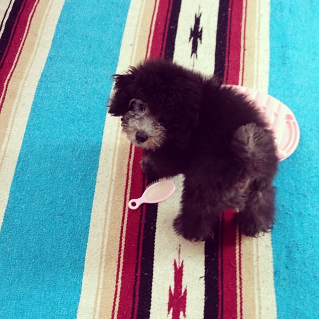 nozomixさんの実例写真