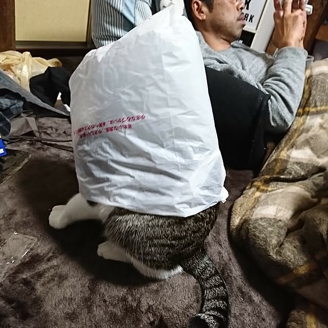 kiraさんの実例写真