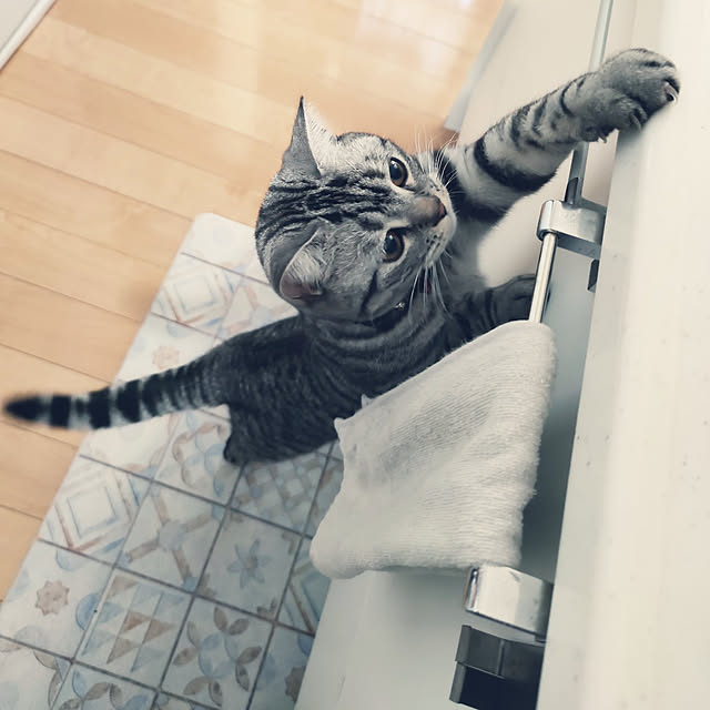 hiro3さんの実例写真