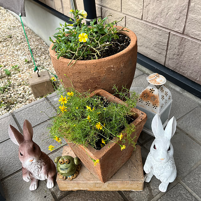 ritsukoさんの部屋