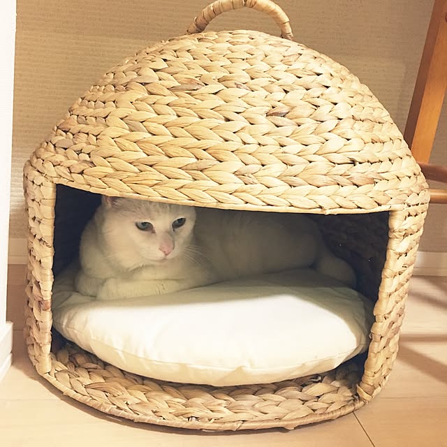 riechanさんの実例写真