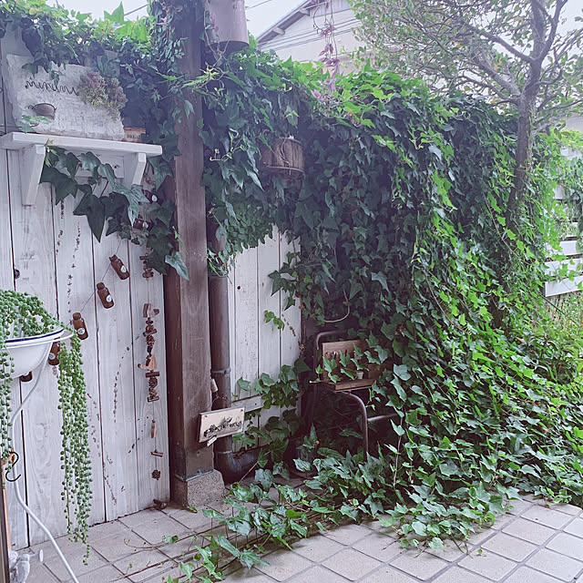 Makoさんの実例写真