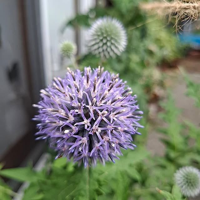midoriさんの部屋