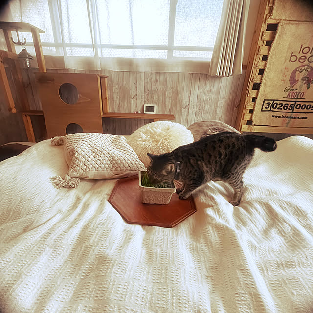 Mさんの部屋