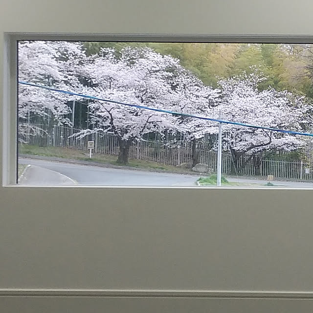 Sunnyさんの実例写真