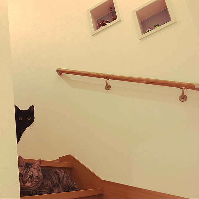 syrnuu946さんの実例写真