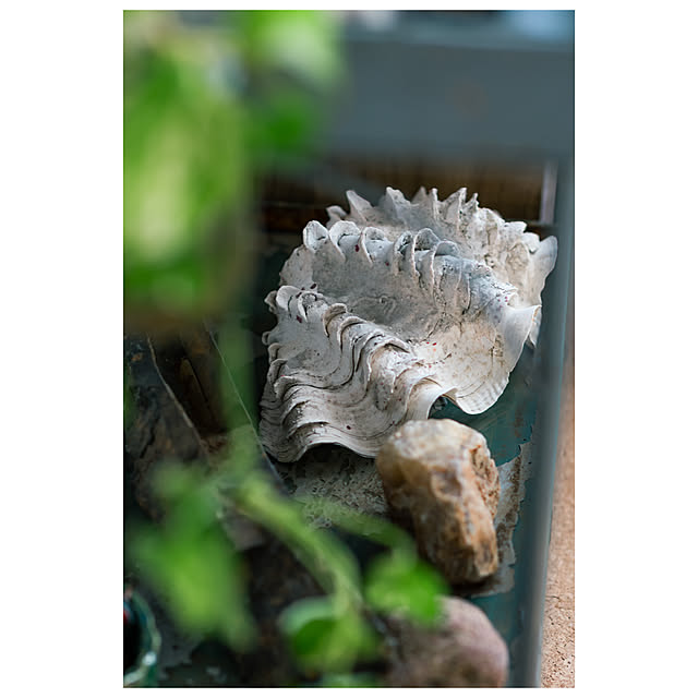 ayamaruさんの部屋