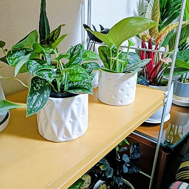 hanachanさんの部屋