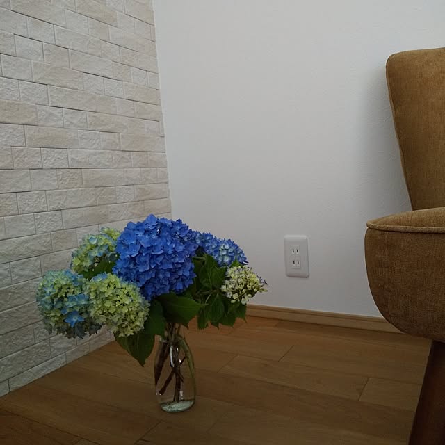 anemone37さんの部屋