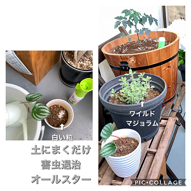 yasuyo66さんの実例写真