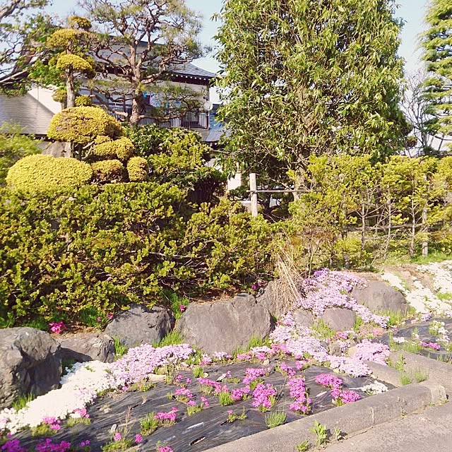 useimama83132513さんの実例写真