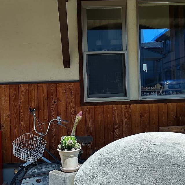 t.yumiさんの部屋