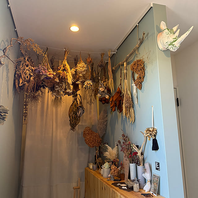 Shiguさんの部屋