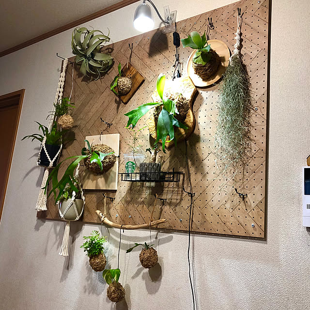 CoffeeHouseさんの実例写真