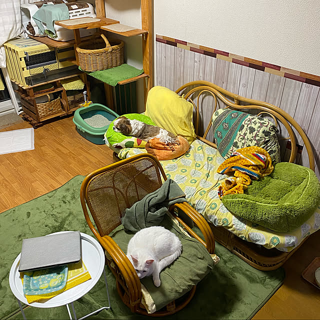SHIHOさんの実例写真