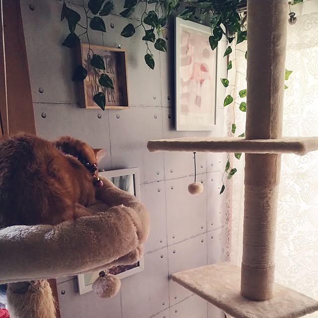 runaさんの部屋