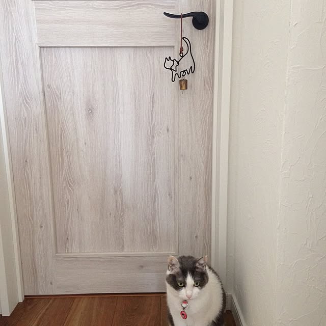 Chiiさんの実例写真