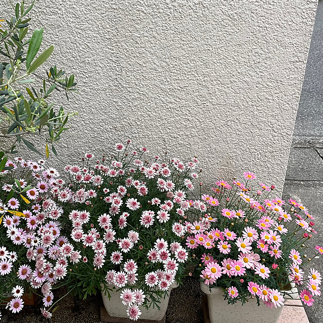 Fuku222さんの部屋