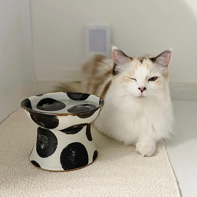 mokkoさんの実例写真
