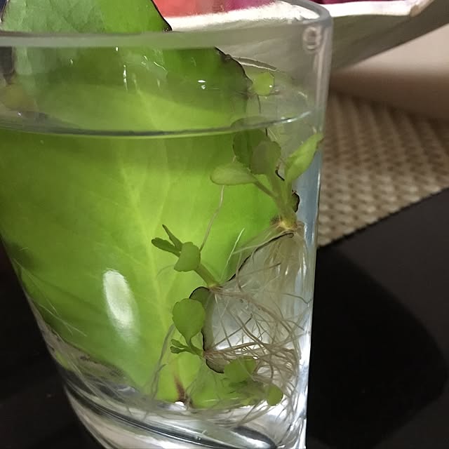 kasumiさんの実例写真