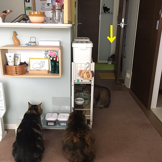 mikomaruさんの実例写真