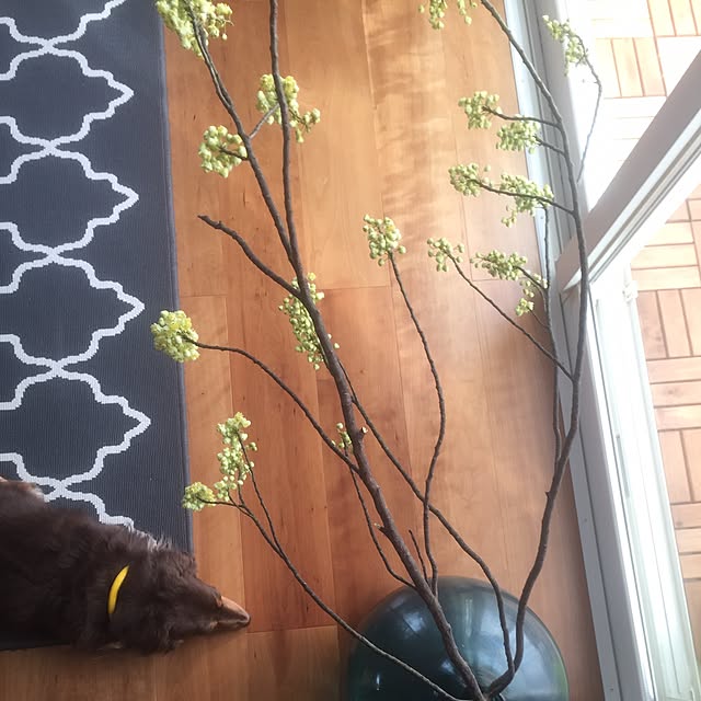 mimosaさんの実例写真