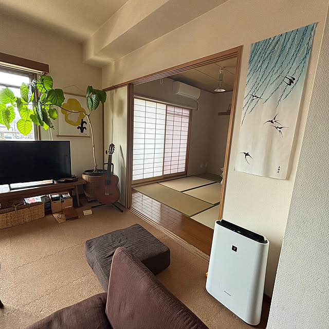 cottoncottonさんの部屋