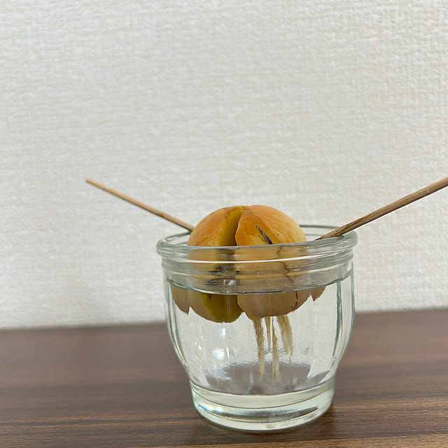 akkiさんの部屋