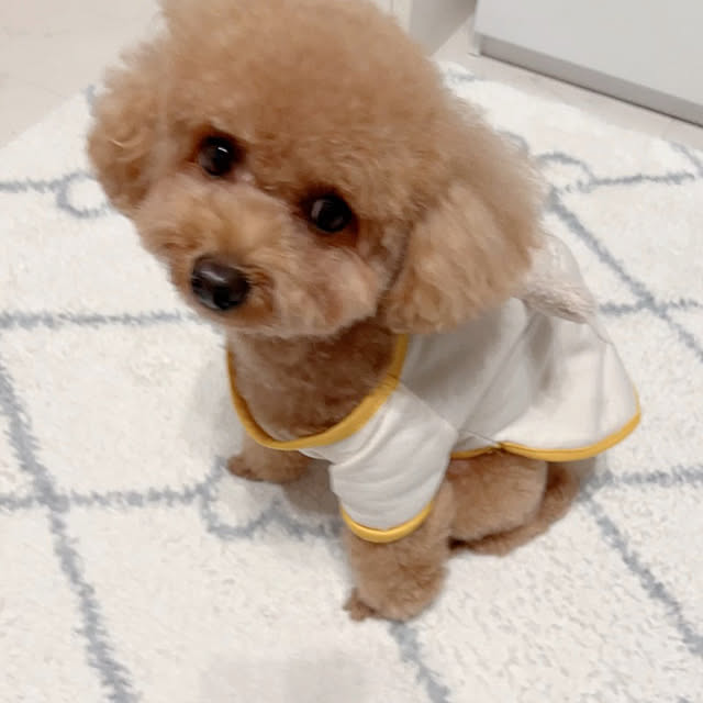 makiさんの実例写真