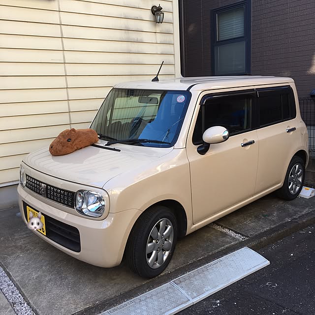 makoriさんの実例写真