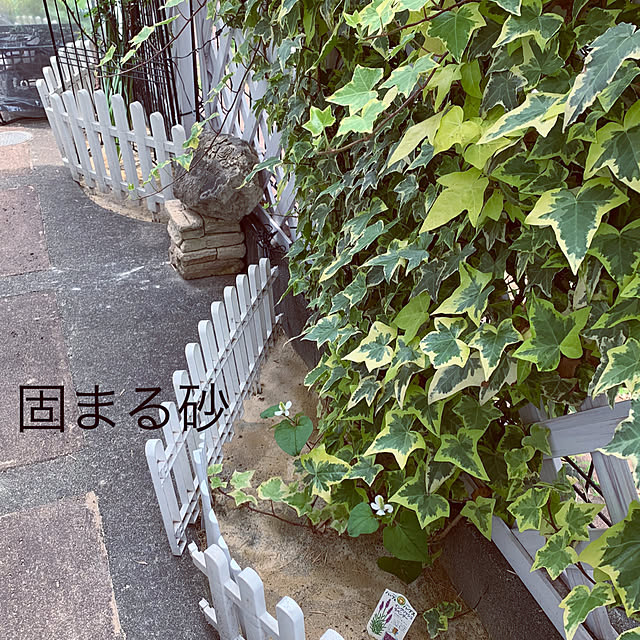 kittyさんの部屋