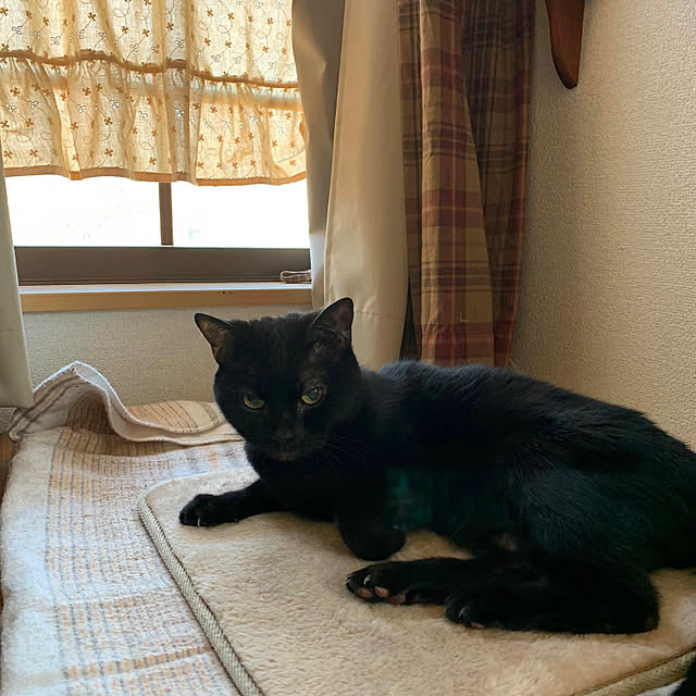 tabasaさんの実例写真