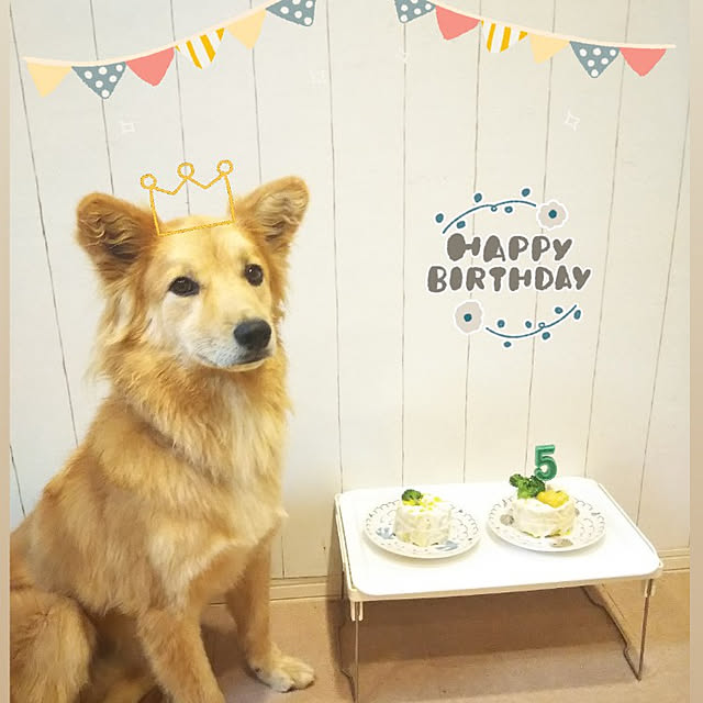 kaoriさんの実例写真